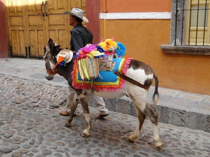Casa Grande Luxury Boutique Hotel San Miguel de Allende Exterior photo